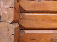 Outdoor detail link logs